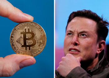 bitcoin-elon-musk