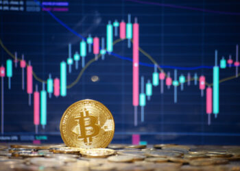 Cuánto se puede perder en una criptomoneda