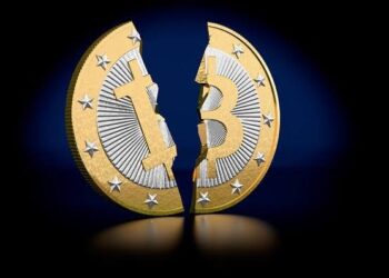 ¿Cuánto ganó si invierto 50 € en Bitcoin?